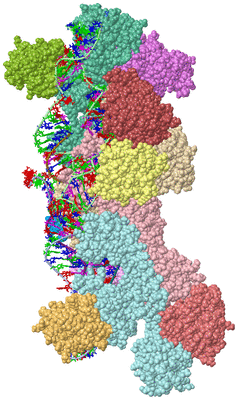 Image NMR Structure - model 1