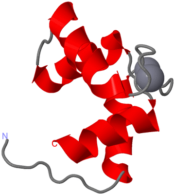 Image NMR Structure - model 1