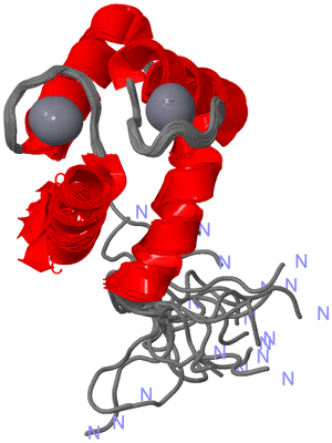 Image NMR Structure - all models