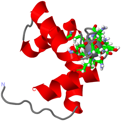 Image NMR Structure - model 1, sites