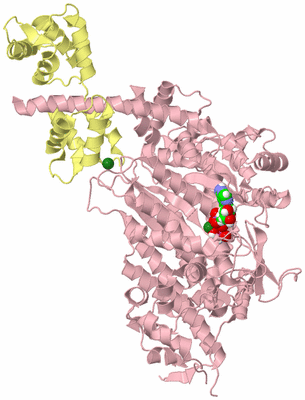 Image Biological Unit 1