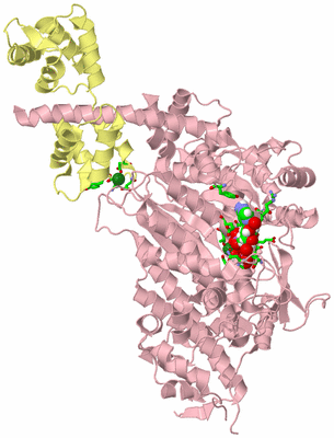 Image Biol. Unit 1 - sites