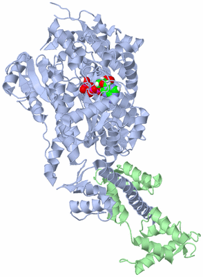 Image Biological Unit 2