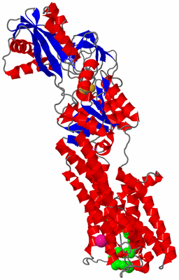 Image Asym./Biol. Unit