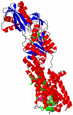 Image Asym./Biol. Unit - sites