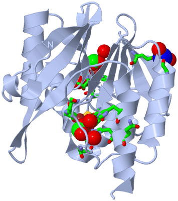 Image Biol. Unit 1 - sites