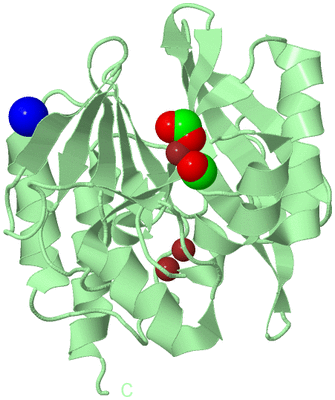 Image Biological Unit 2