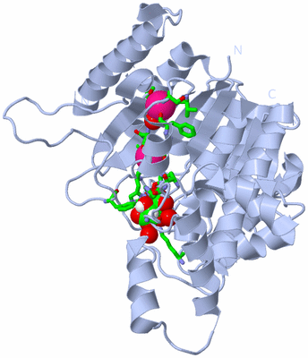 Image Biol. Unit 1 - sites