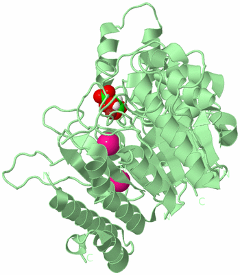 Image Biological Unit 2