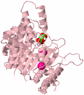 Image Biological Unit 3