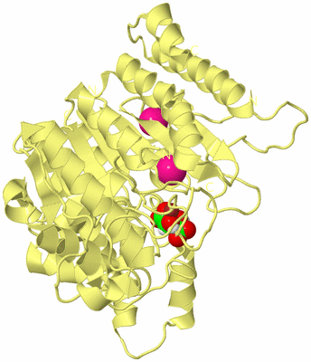 Image Biological Unit 4