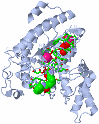 Image Biol. Unit 1 - sites