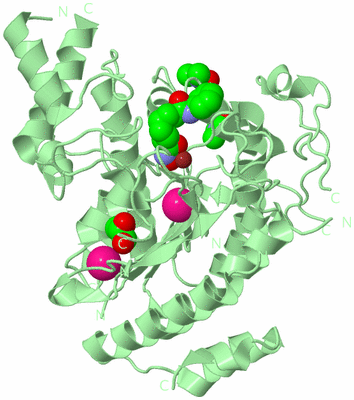 Image Biological Unit 2