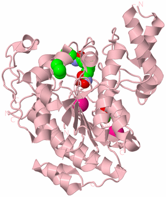 Image Biological Unit 3