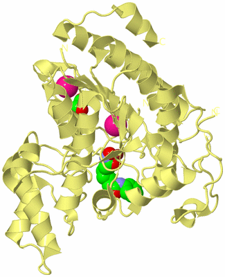 Image Biological Unit 4