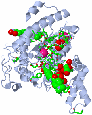 Image Biol. Unit 1 - sites