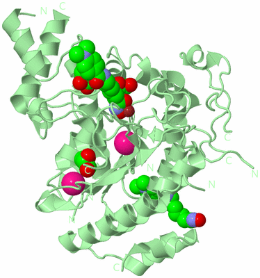 Image Biological Unit 2