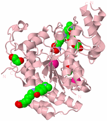 Image Biological Unit 3