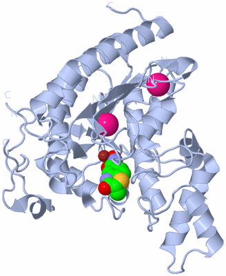 Image Biological Unit 1