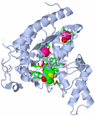 Image Biol. Unit 1 - sites