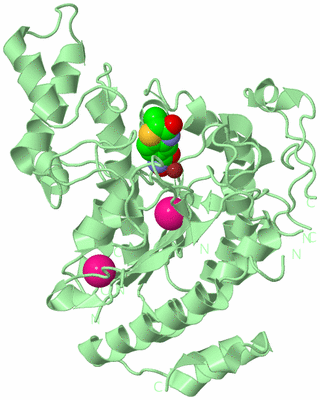 Image Biological Unit 2