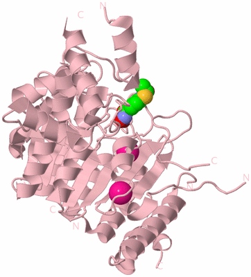 Image Biological Unit 3