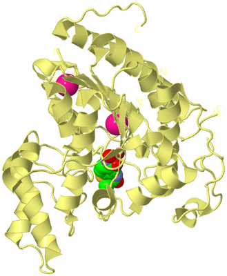 Image Biological Unit 4