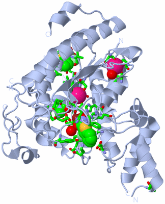 Image Biol. Unit 1 - sites