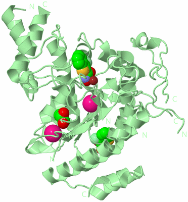 Image Biological Unit 2