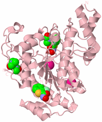 Image Biological Unit 3