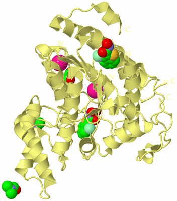 Image Biological Unit 4