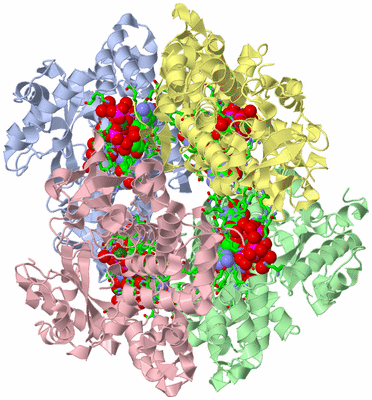 Image Asym./Biol. Unit - sites