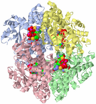 Image Asym./Biol. Unit