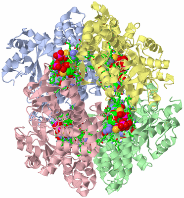 Image Asym./Biol. Unit - sites