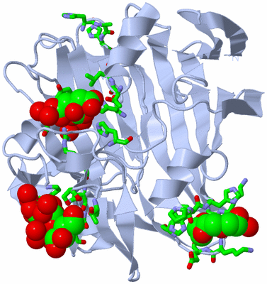 Image Biol. Unit 1 - sites