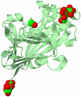 Image Biological Unit 2