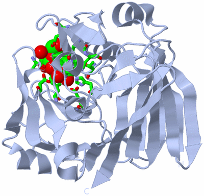 Image Biol. Unit 1 - sites