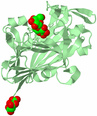 Image Biological Unit 2