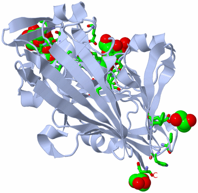 Image Biol. Unit 1 - sites