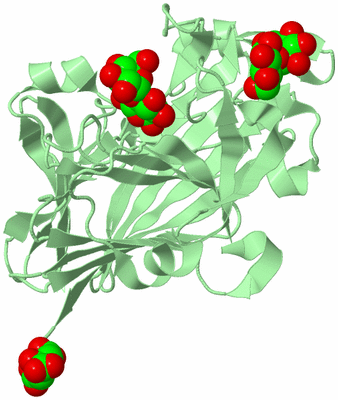 Image Biological Unit 2