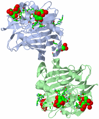 Image Asym. Unit - sites