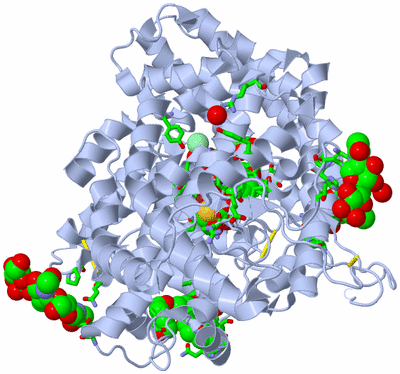 Image Biol. Unit 1 - sites