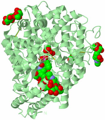 Image Biological Unit 2