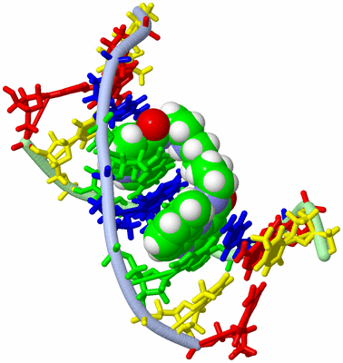 Image NMR Structure - model 1