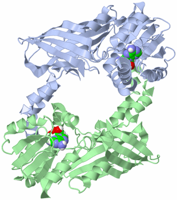 Image Biological Unit 1