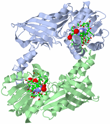 Image Biol. Unit 1 - sites