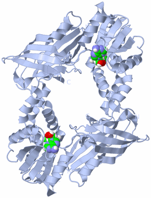 Image Biological Unit 1