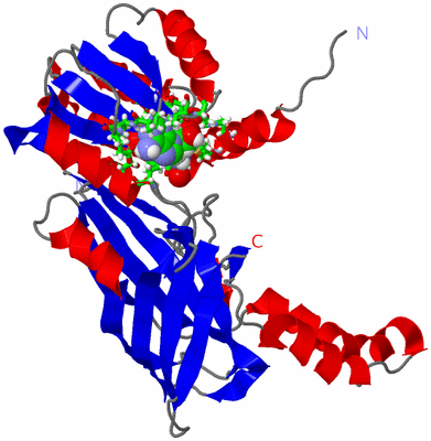 Image Asym. Unit - sites