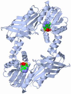 Image Biological Unit 1