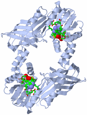 Image Biol. Unit 1 - sites